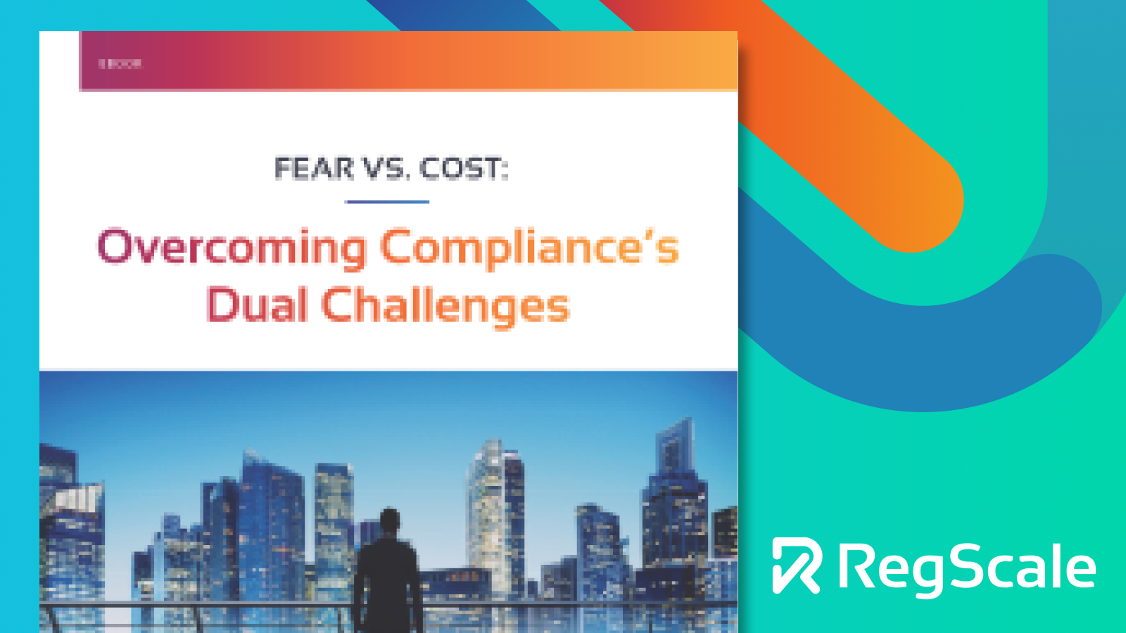 Fear vs. Cost: Overcoming Compliance Dual Challenges
