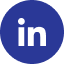 Linkedin icon