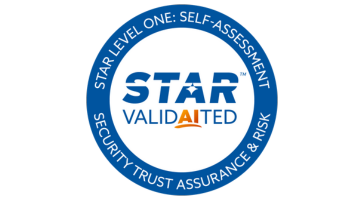 STAR Valid AI Ted badge